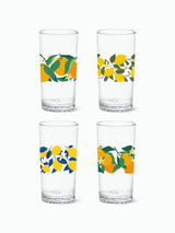 Citrus - 14oz Highball Tritan™ Glasses